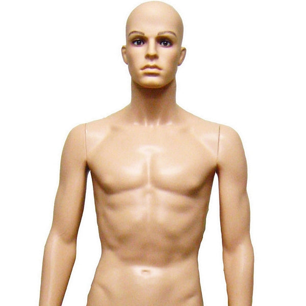 Male Plastic Mannequin w/Head $175.00