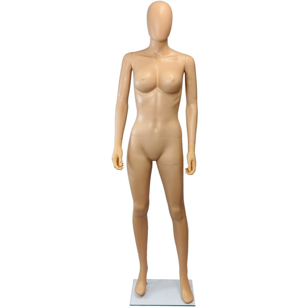MN-445 Plastic Busty Female Full Body Mannequin with Removable Egghead –  DisplayImporter