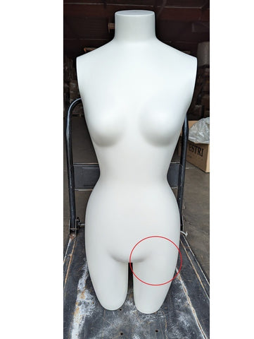 MN-SW613LTP #C Petite Female 3/4 Upper Body Torso Mannequin Form with –  DisplayImporter