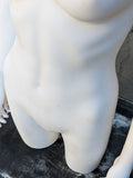 MN-248 (USED) White Plastic 3/4 Torso Female Upper Body Torso Mannequin Form with Removable Head (FINAL SALE)