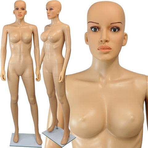 MN-445A Plastic Busty Female Full Body Mannequin with Removable Realistic  Head (FREE WIG PROMO)
