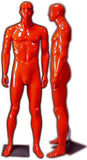 MN-333 Colorful Glossy Abstract Male Mannequin - DisplayImporter